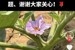 还得看老将！朱彦西全场三分6中5 贡献17分&末节3记三分救主